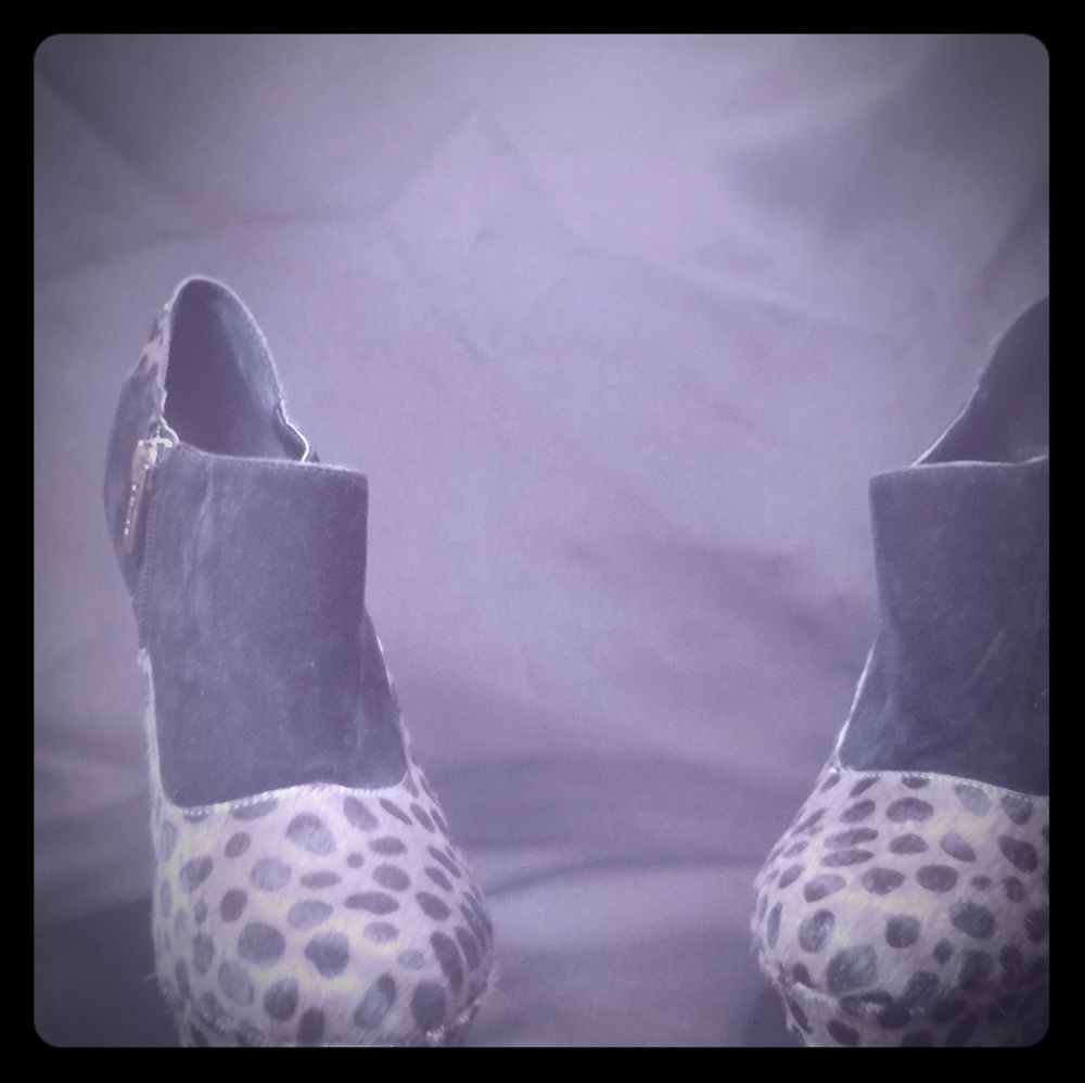 Colin Stewart heels